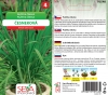 10548/2504 Pažitka čínská (česneková) 1,5g