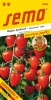 432682/2809 Rajče Tyč. Jah. Gardenberry 12s