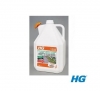 HG 52750 Odstraňovač zelených povlaků a mechů 5L